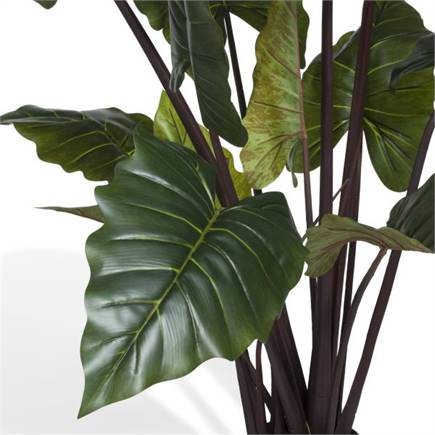 Coco Maison Colocasia H130cm